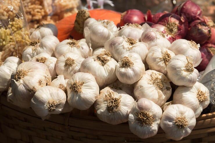 تصویر 3 از قیمت سیر سفید بی بو + خرید باور نکردنی